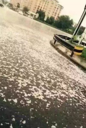A mobile phone photo shows foam on the streets of Tianjin after recent rains. Residents have complained that information about the chemicals involved in the blasts is lacking.