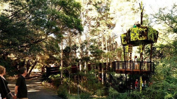An artist's impression of the new treehouse at the Australian National Botanic Gardens in Canberra.