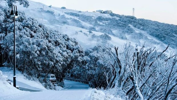A teenager has been flown to the Royal Children's Hospital after falling off a ski jump at Mount Buller on Saturday.