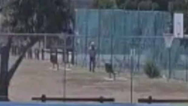 The man was seen on security footage near the school a week after the first incident.