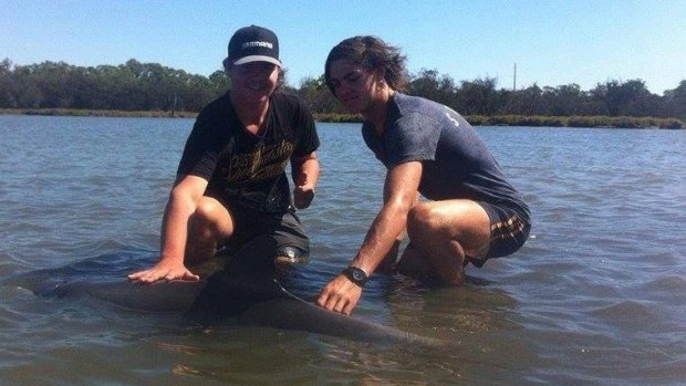 Zachary Allegretta and Michael Randall rescuing a dolphin calf stranded in Goegrup Lake's shallow waters.