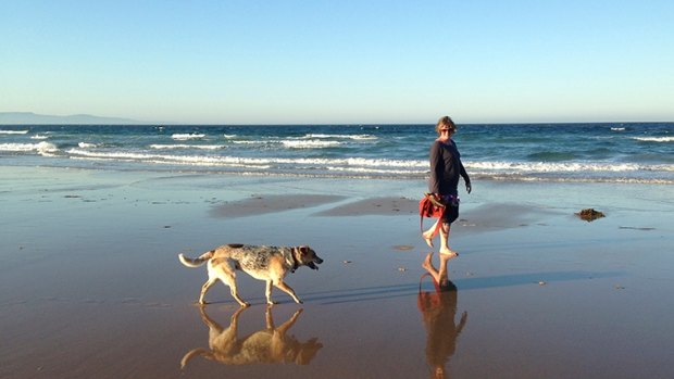 Georgia and Sunday at Currarong, 2013.