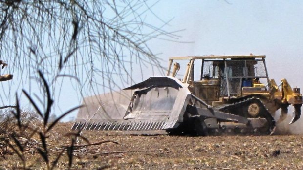Land-clearing in Queensland continues to soar, reaching almost 400,000 hectares in 2015-16.