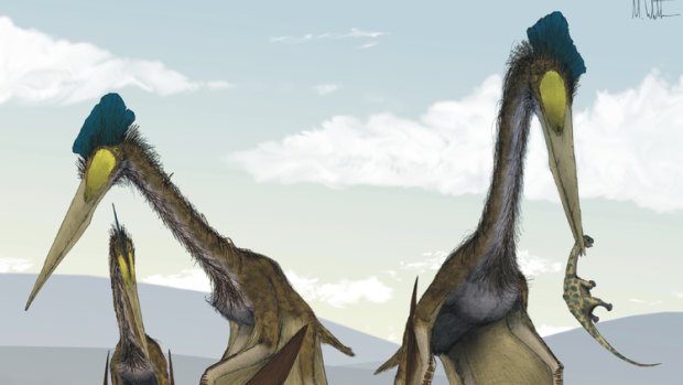 This artist's rendition from a study in PLOS One in 2008 shows a group of giant azhdarchids, Quetzalcoatlus northropi, foraging on a Cretaceous fern prairie. A new paper in ZooKeys says toothless pterosaurs were once found around the globe. 