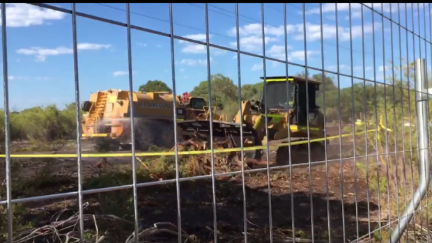 Bulldozers continue clearing the Beeliar wetlands. More protesters were arrested on Saturday morning.