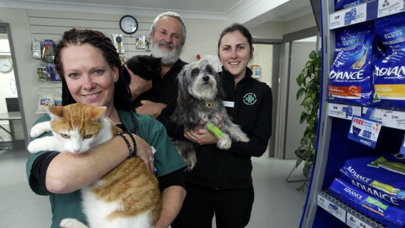 Tpg Dusts Off Pet Care Playbook With 675m Offer For Greencross