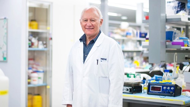 Professor Len Harrison in the laboratory at the Walter and Eliza Hall Institute.