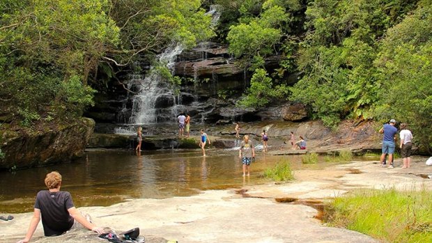 Somersby Falls is a popular picnic spot on the Central Coast.