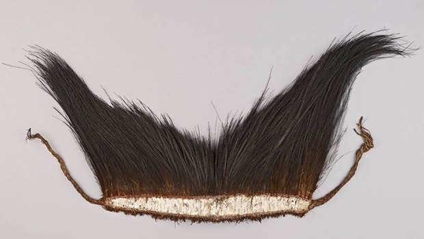 Part of Kebisu's samera (headdress) collected on Tudu from Maino by Alfred Cort Haddon in 1888.