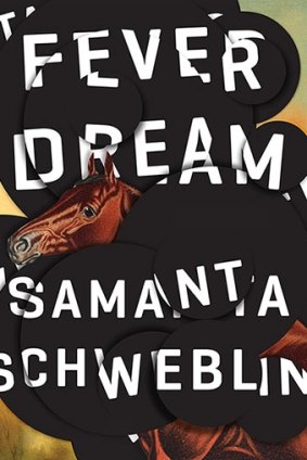 Fever Dream, by Samanta Schweblin.