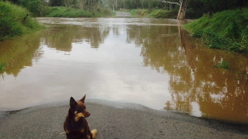 Queensland weather: flood warnings as BoM tips heavy rainfall