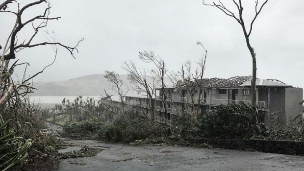 Trees were stripped bare by the force of Cyclone Debbie at Hamilton Island.