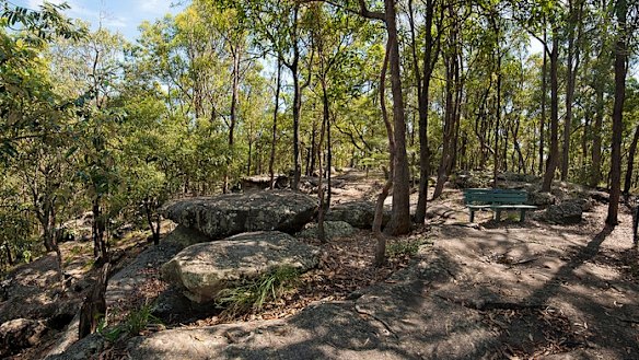 The electorate of Sunnybank has been renamed Toohey, after Toohey Forest Park.