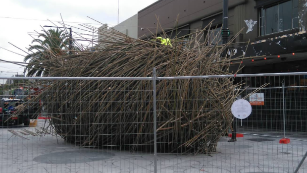Regenesis, a new art installation being built in Acland Plaza