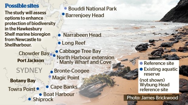 Possible sights for new marine protection parks.