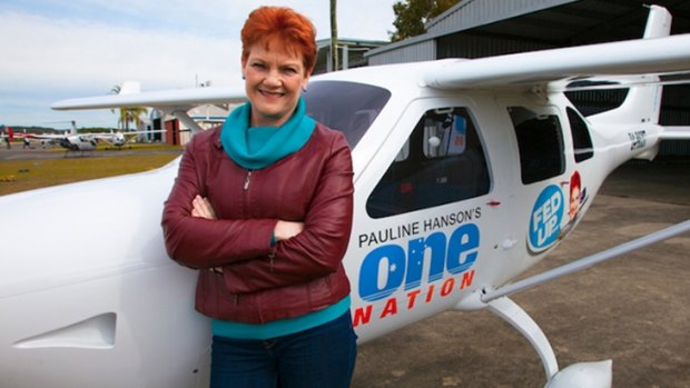 Pauline Hanson poses in front of the One Nation plane during her 'Fed Up' tour.