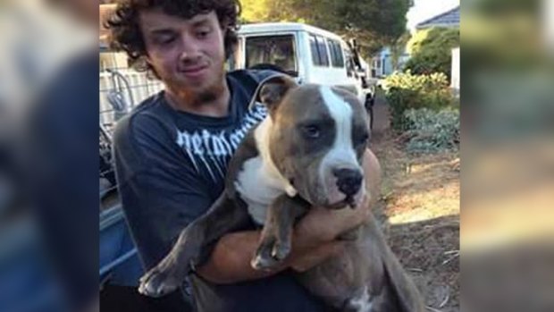 Dylan Gratton-Wilson with Hercules, the family pet who died from a suspected poison bait. 