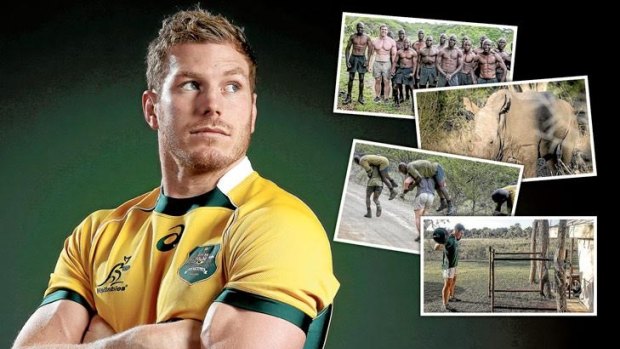 Time away: David Pocock says taking time out from rugby union to train with Zimbabwe rhino guards could help prolong his career.
