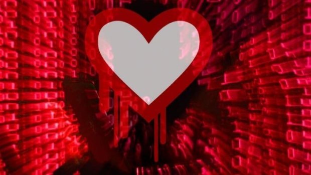New vulnerabilities have been found in the same software that housed the 'Heartbleed' vulnerability discovered last year, although these newly-discovered bugs are not as serious.