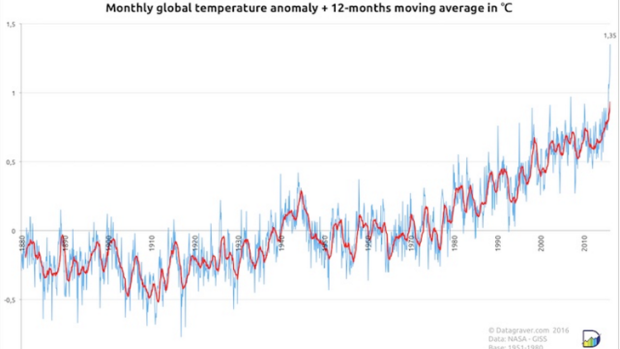 Monthly global temperatures anomaly. 
