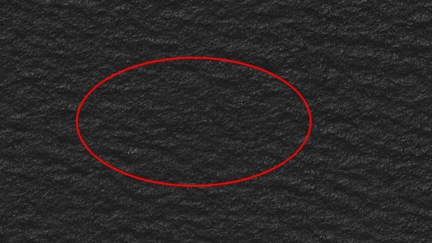 Tomnod users say that inside this red circle is what looks like debris.