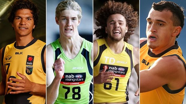 Sam Petrevski-Seaton, Tim English, Griffin Logue and Sam Powell-Pepper are some of the top WA prospects