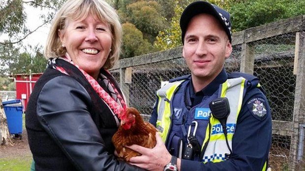 The chicken was stolen from Findon Primary School on Monday night.