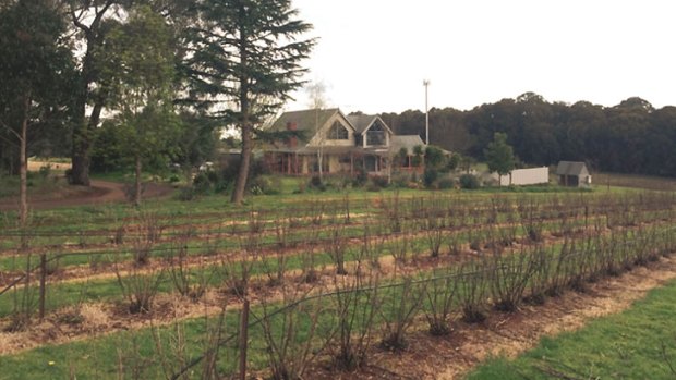 The Tromp family's home, and currant farm in Silvan. 
