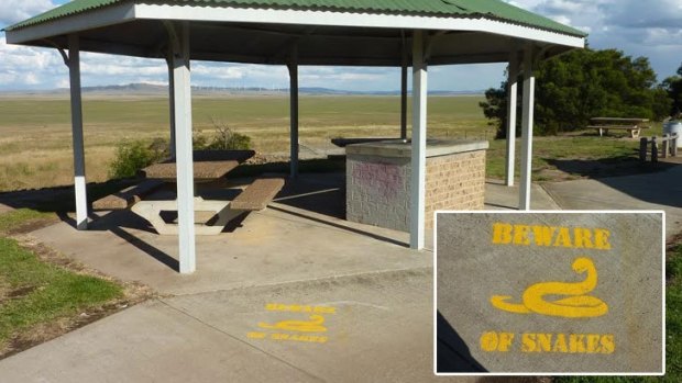 The rest stop at Lake George, just north of Canberra, with a painted snake warning.