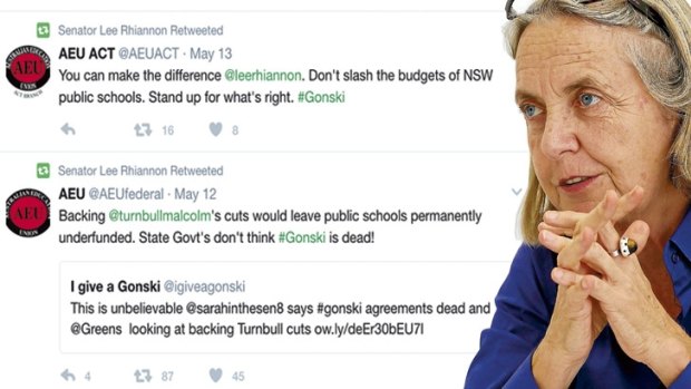 Greens senator Lee Rhiannon is under attack from her federal Greens colleagues.