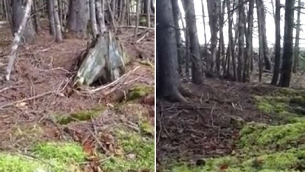 The video shot in a Canadian forest showed the Earth "breathing". 