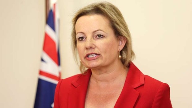 Advice: Sussan Ley faces a tough job in selling the plans to cut Medicare.