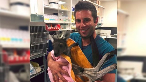  Dr Peter Ricci is one of four new presenters selected for the Bondi Vet.