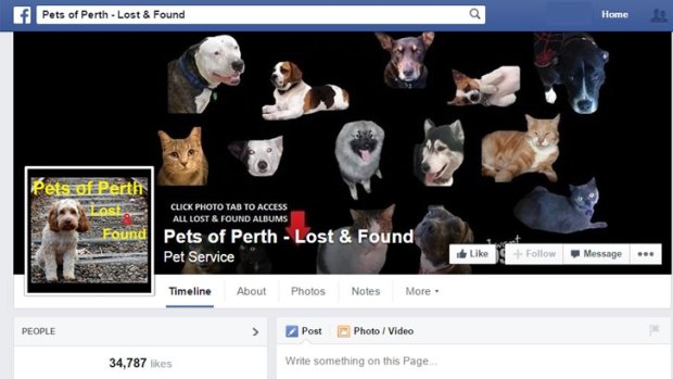 Dozens of animals were listed on the Facebook page over the past 24 hours.