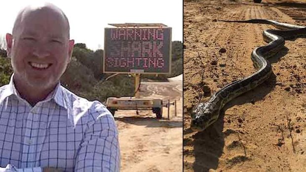 WA wildlife collides: A snake was found sunbathing on the shark warning sign