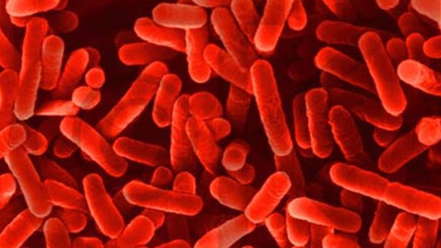A spa at a Frankston gym has been linked to a Legionnaires' outbreak.

