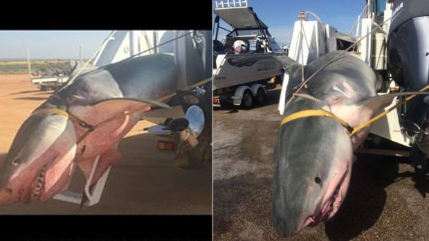 Left: at the boat ramp. Right: At the weighing station. 