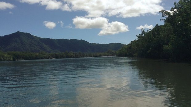 The Daintree River, where the "Laffertys" operated their cruise boat business.