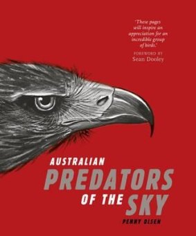 Australian Predators of the Sky, by Penny Olsen.