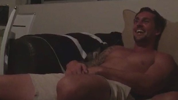 Sydney Roosters captain Mitchell Pearce has been stood down from training after video emerged of him simulating a lewd act with a dog.