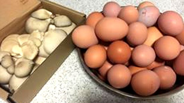Mushrooms made in Freo and pastured eggs are favourites on Freo Food.
