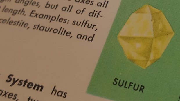 This drawing of a sulphur gem appeared in both the Gorman print and Ms Ibarreche's 