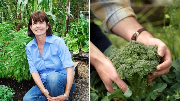 Sue McDougall says autumn is a perfect time for growing vegetables like broccoli.