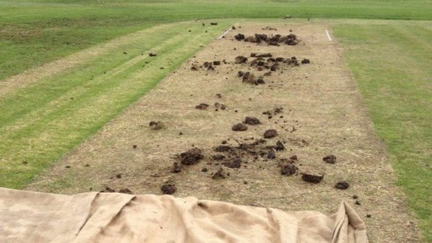 Pitch vandalism: The match had to be abandoned and declared a draw.