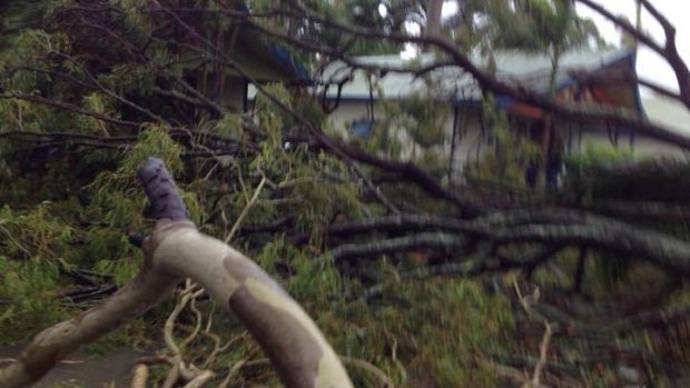 Cyclone damage in Rockhampton. 