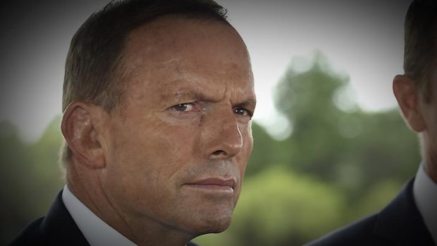 Some government MPs are frustrated with Prime Minister Tony Abbott's handling of recent policy issues.
