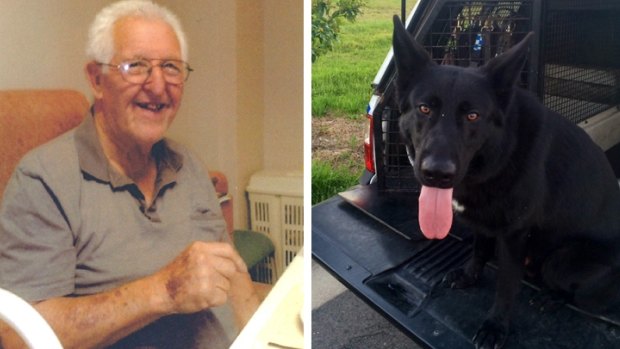 Hero: Police dog Ulrich tracked down Herbert Bartlett, who had gone missing from Maitland Hospital.