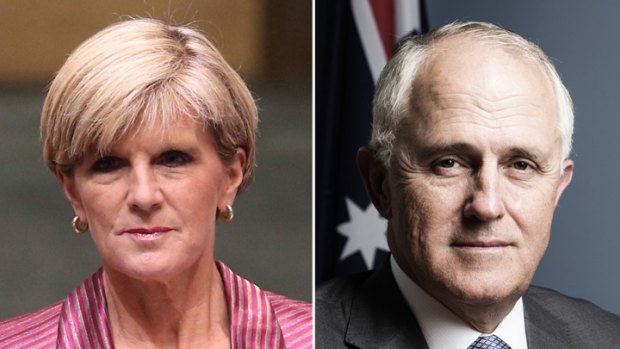 Potential PMs? Foreign Affairs Minister Julie Bishop and Communications Minister Malcolm Turnbull.