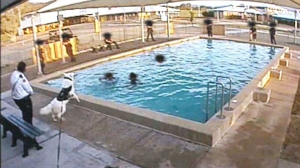 An unmuzzled dog prevents three young inmates exiting a pool.