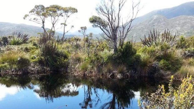 The remote area in south-west Tasmania where the devil droppings were found.